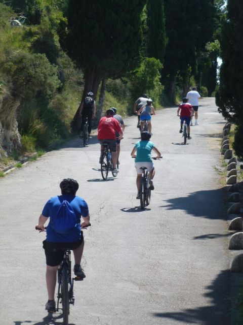 Split 3-Hour Guided Bike Tour - Getting Oriented at the Harbor: Old Market, Diocletian Palace, and Đardin Park