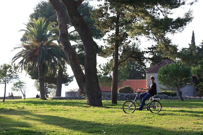 Split Electric Bicycle Tour - Safety on Shared Streets: The Real-World Consideration