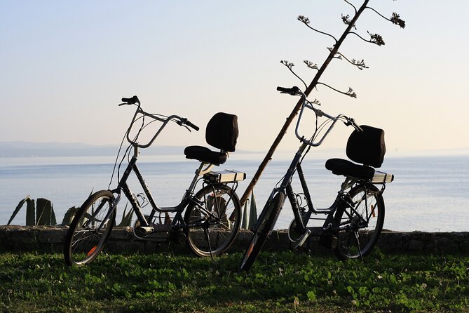 Split Electric Bicycle Tour - Price and Value: Is $72.56 Worth It?