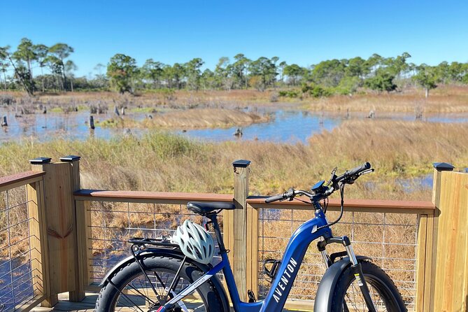 State Park E-Bike Tour: Alligators, Pier, & More [SELF-GUIDED] - Panama City Beach access point: quick local flavor, then back on the bike