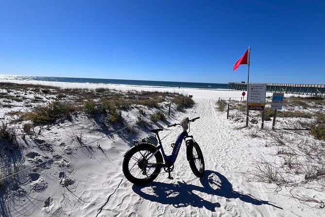 State Park E-Bike Tour: Alligators, Pier, & More [SELF-GUIDED] - St. Andrews State Park: jetty views, Shell Island energy, and wildlife watching