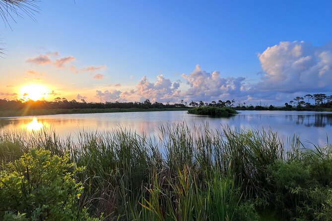 State Park E-Bike Tour: Alligators, Pier, & More [SELF-GUIDED] - The app with audio directions: the secret sauce of a self-guided ride