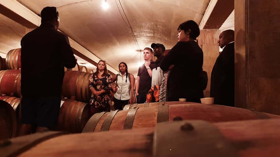 Stellenbosch: Historical Bike Tour & Wine Tasting - First Pedals in Stellenbosch: where the day starts and what you’ll actually see