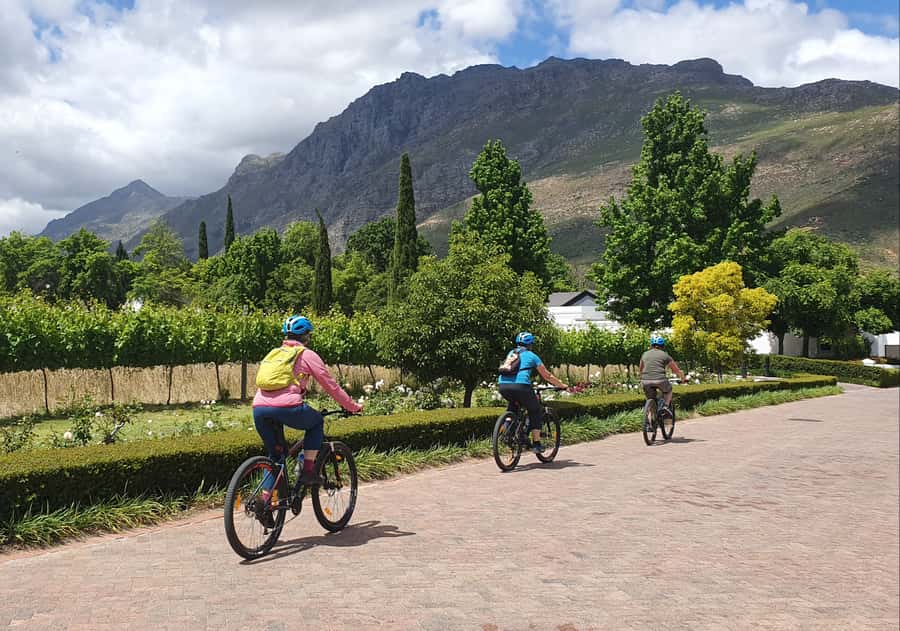 Stellenbosch: Historical Bike Tour & Wine Tasting - Second estate with Cape Dutch architecture: cellar tour first, then pairing