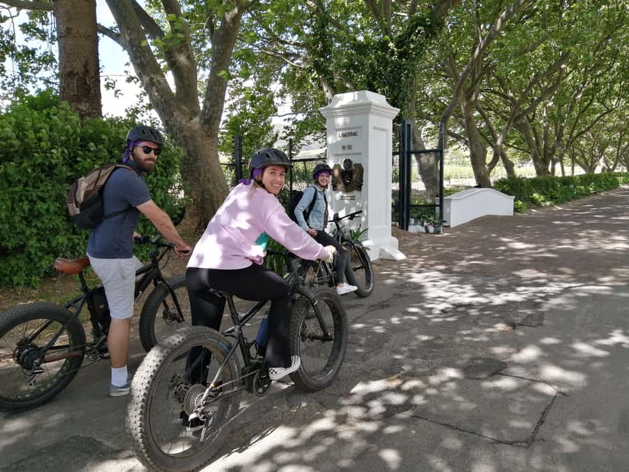 Stellenbosch: Wine Farm E-Bike Guided Tour - Key points before you go