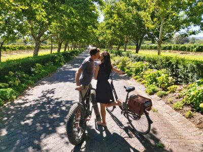 Stellenbosch: Wine Farm E-Bike Guided Tour - Meeting at Vinebikes (Lanzerac): how the tour starts smoothly