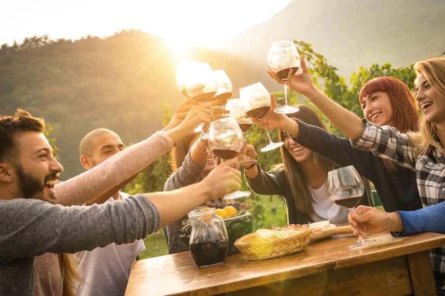 Stellenbosch: Wine Farm E-Bike Guided Tour - The full 210 minutes: your hour-by-hour flow