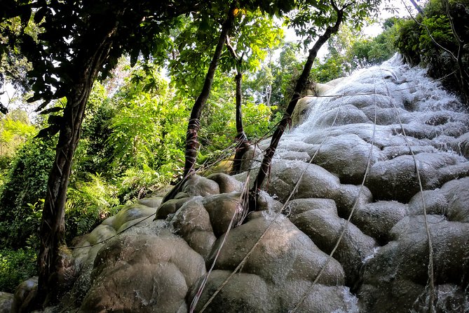 Sticky Waterfall Cycling Tour - Key things that make this tour worth your time