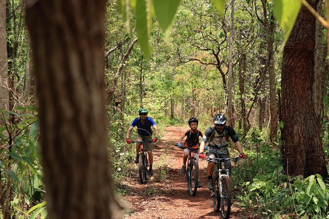 Sticky Waterfall Cycling Tour - Food and pacing: snacks on the way, lunch at the end