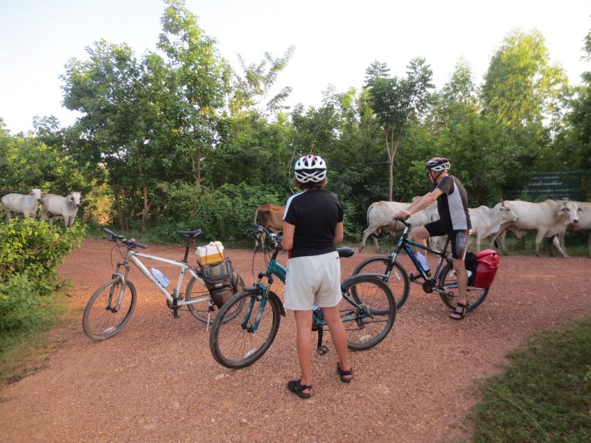 Sukhothai: Historical Park & Countryside Cycling Tour - The 8:15 pickup and Ban Khuai start: easing into the ride