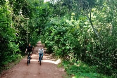 Sunset or sunrise bicycle tour around Angkor Wat and nearby temples - What Your $45 Covers (and What Costs Extra)