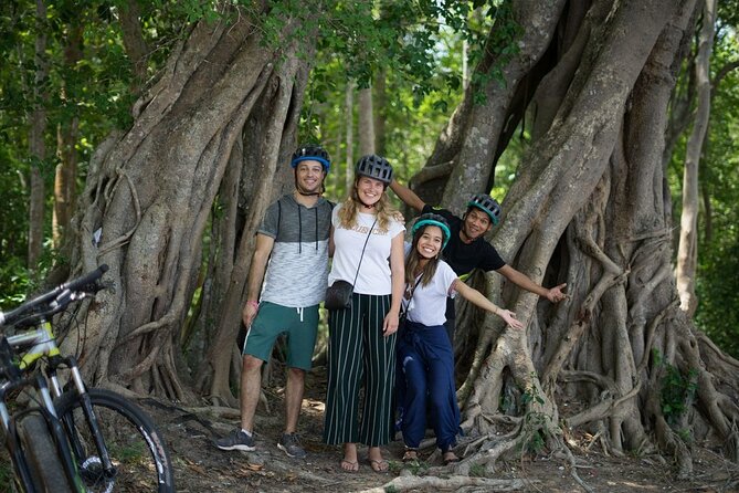 Sunset or sunrise bicycle tour around Angkor Wat and nearby temples - Should You Book This Angkor Wat Bike Tour?