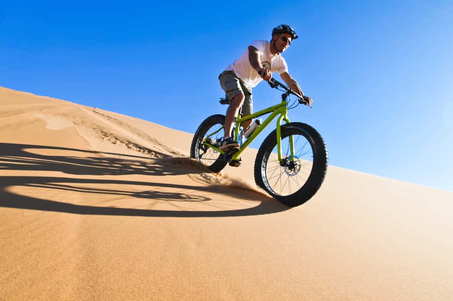 Swakopmund: Scenic Desert Bike Tour - Key highlights I’d plan around