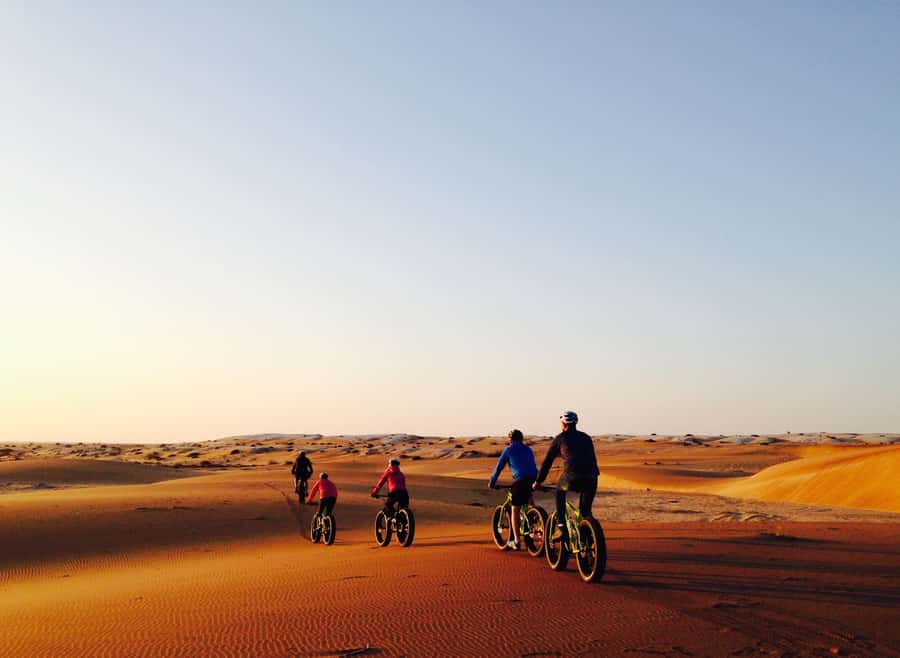 Swakopmund: Scenic Desert Bike Tour - Entering the Namib Desert on Two Wheels