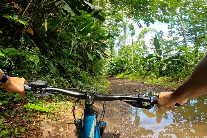 Tahiti excursion adventure circuit MTB MTB E-Bike private valley - What The Actual Riding Feels Like on These Electric MTBs