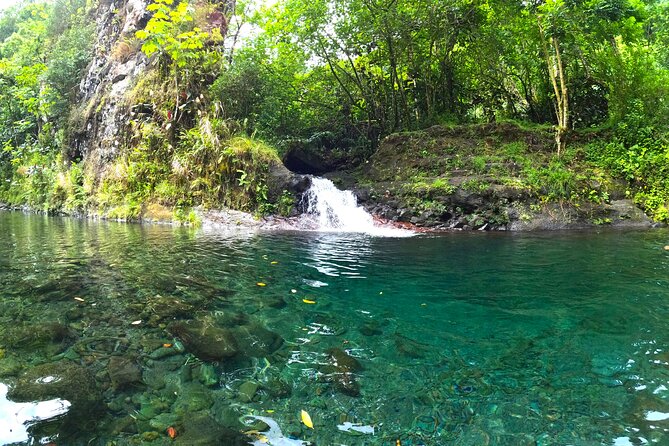 Tahiti excursion adventure circuit MTB MTB E-Bike private valley - Birds, Legends, and Teiki’s Role in Making It Make Sense