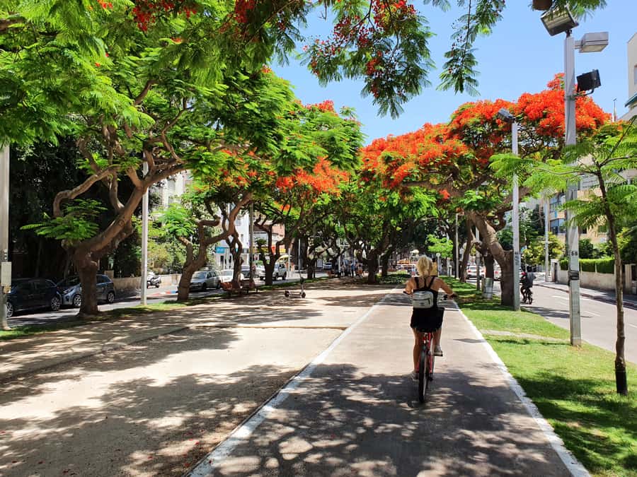 Tel Aviv 3-Hour Easy Bike Tour - Ben Gurion Museum and the Ride Back to the Port