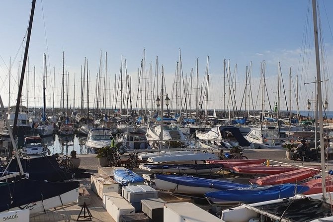 Tel Aviv Highlights Bike Tour - Pace, Group Size, and Bike-Fit Details That Affect Your Comfort