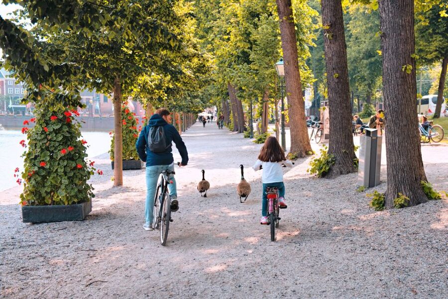 The Hague: Highlights Bike Tour - Meeting behind the grey garage door: your first 15 minutes matter