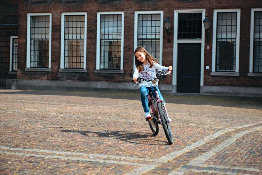 The Hague: Highlights Bike Tour - Price and value: what $35 buys you