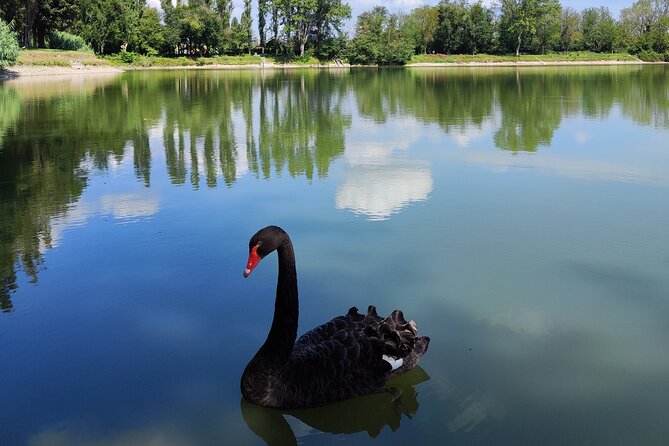 The Milan you don't expect, bike tour with picnic on the lake - A Small-Group Park Ride That Feels Local