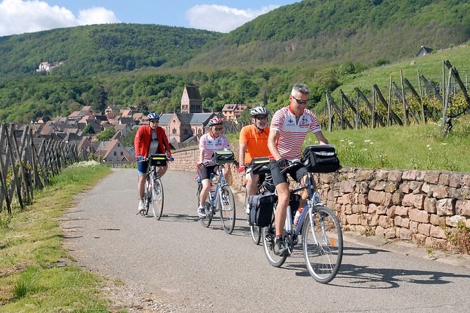 Through Alsace Vineyards and Wine Villages Private Bike Tour - Key things that make this tour worth your time