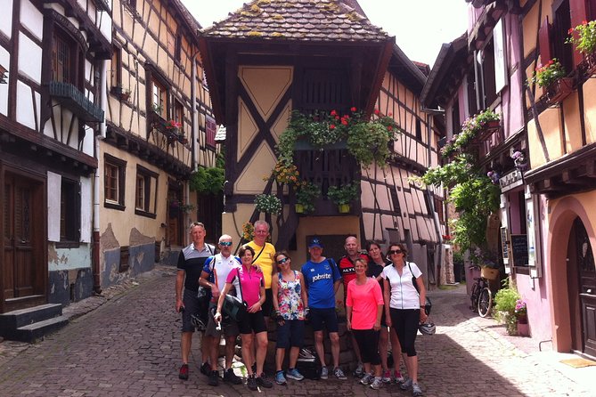 Through Alsace Vineyards and Wine Villages Private Bike Tour - Why this 2–3 hour Alsace bike tour fits Colmar so well