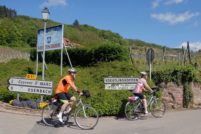 Through Alsace Vineyards and Wine Villages Private Bike Tour - Cycling through Grand Cru vineyards: why the ride matters as much as the stops
