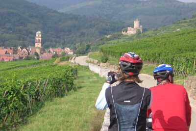 Through Alsace Vineyards and Wine Villages Private Bike Tour - Eguisheim stop: medieval lanes in a tight 20 minutes