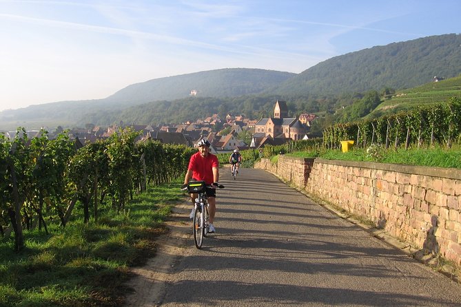 Through Alsace Vineyards and Wine Villages Private Bike Tour - The cathedral tower question: a fun stop built for curious minds