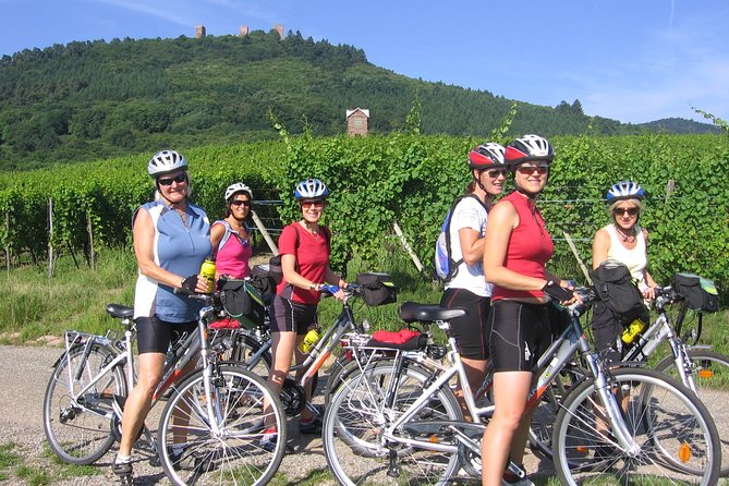 Through Alsace Vineyards and Wine Villages Private Bike Tour - Price and value: what $132.16 buys you in real terms