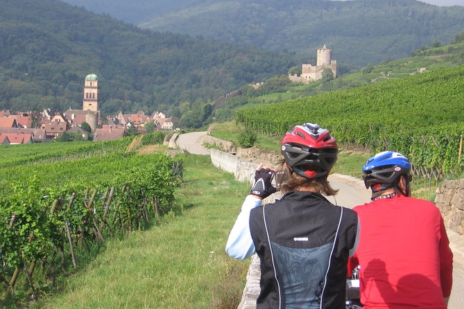 Through Alsace Vineyards and Wine Villages Private Bike Tour - Eguisheim stop: medieval lanes in a tight 20 minutes
