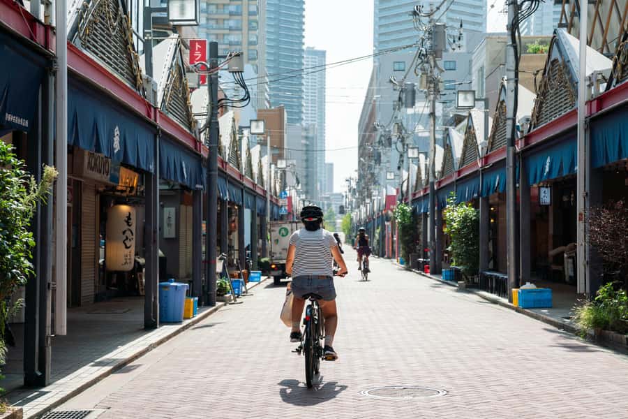 Tokyo: 3-hour Guided E-Bike Tour of the City's Hidden Gems - Why a 3-Hour Guided E-Bike Tour Beats Walking and Transit