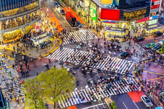 Tokyo Bike Tour: Shibuya & Hidden Tokyo - Key Points You’ll Actually Care About