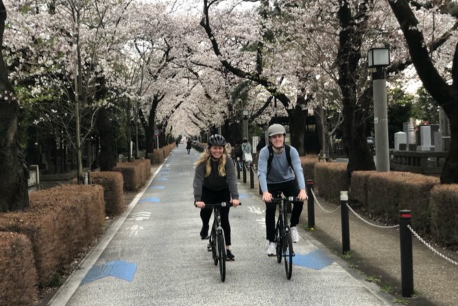 Tokyo Bike Tour: Shibuya & Hidden Tokyo - Meeting Up Near Yoyogi and Shinjuku: Easy Start, No Drama