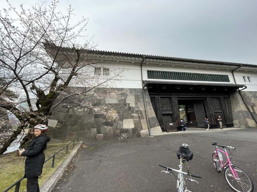 Tokyo: Discover Traditional Tokyo Full-Day Bicycle Tour - Imperial Palace area and Tokyo Station: two big anchors, one moving perspective