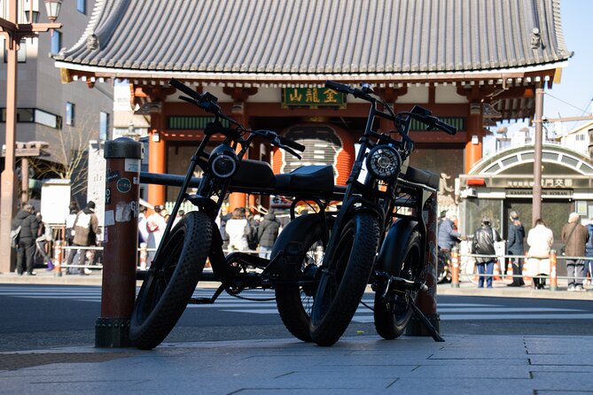 Tokyo E-bike Rental: Let's enjoy as a local! - Akihabara and Odaiba Detours: Tech Neon and Bay Air