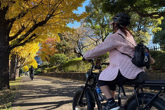 Tokyo Top Highlights 3h Guided E-bike Tour - What to know before you ride (so the day stays fun)