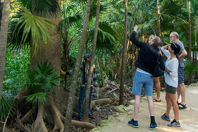 Tulum Bike Tour Tulum Maya Ruins Cenote Swimming Pueblo History Art Tacos Lunch - Downtown Tulum: Street Art, Pueblo-Style Snacks, and Real-Life Stops