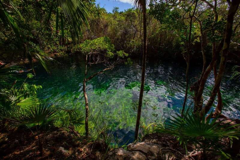 Tulum: Cenote Trail Bike Tour - Lunch in the Jungle: Private Settings That Feel Like Part of the Day