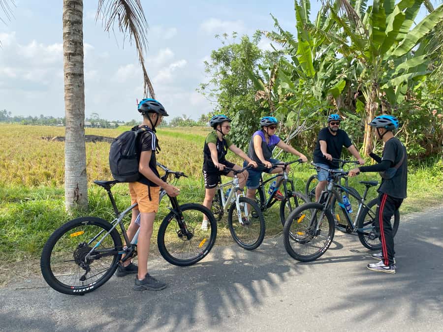 Ubud: Downhill Bike Tour with Rice Fields, Volcano and Meal - From Ubud Pickup to Kintamani Views: The Ride Begins Before the Wheels