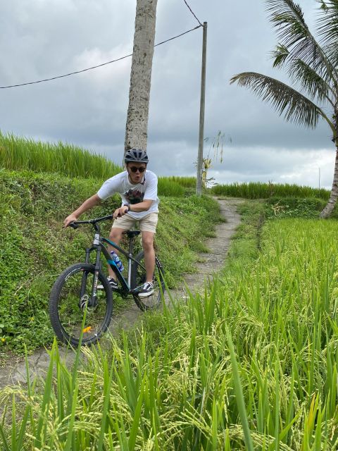 Ubud: Downhill Bike Tour with Rice Fields, Volcano and Meal - Rice Fields and Agricultural Bali: Why the Countryside Feels Different