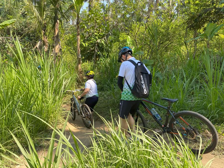 Ubud: Downhill Bike Tour with Rice Fields, Volcano and Meal - The Scenic Volcano Drive and Why It’s Worth It