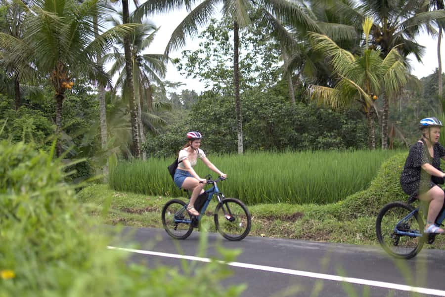 Ubud: E-Bike Tour with Rice Terrace and Village Visit - Cekingan Rice Terrace and subak irrigation: the lesson behind the view