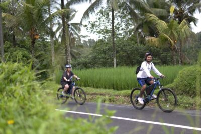 Ubud: E-Bike Tour with Rice Terrace and Village Visit - Where you start north of Ubud (and what pickup really means)
