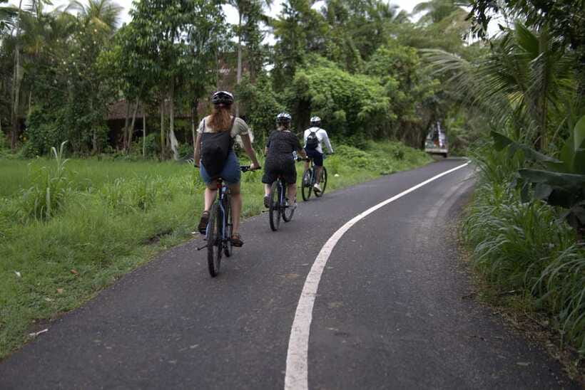 Ubud: E-Bike Tour with Rice Terrace and Village Visit - Your meal overlooking the terraces (and the coffee add-on some days)