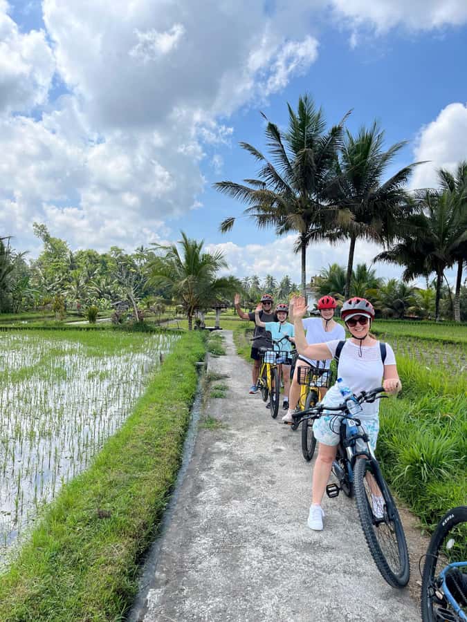 Ubud: E-Bike Tour with Rice Terrace and Village Visit - Price and logistics: what $27 buys you in real value