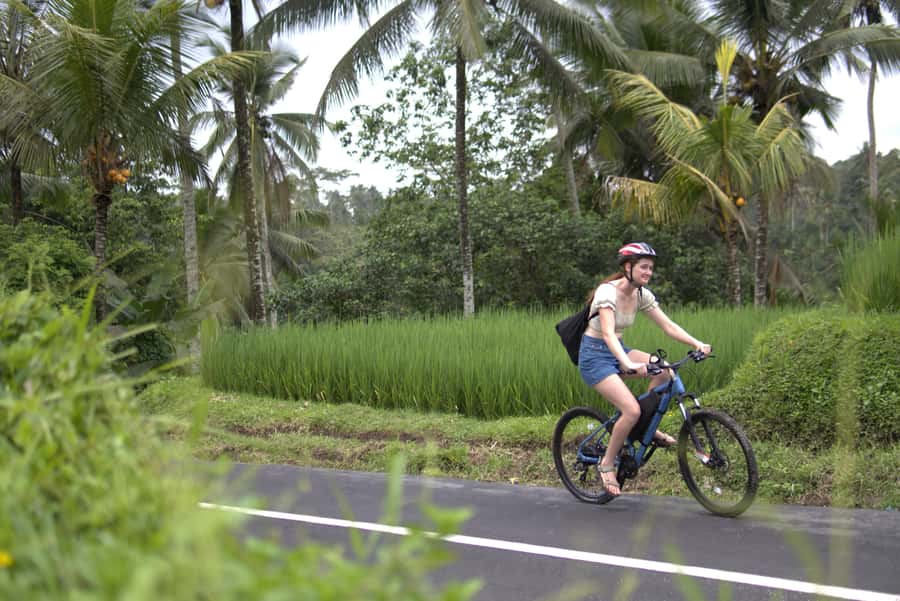 Ubud: E-Bike Tour with Rice Terrace and Village Visit - Who should book this e-bike tour (and who should skip)