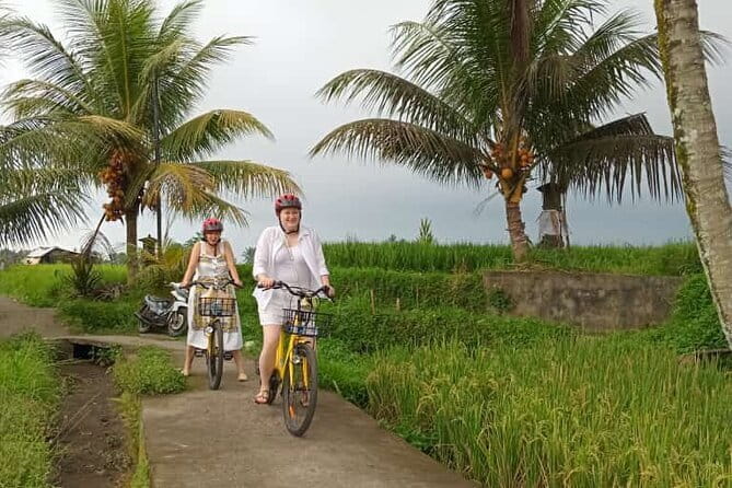 Ubud : Kintamani Downhill Cycling Tour with Lunch - Why This Cycling Day Works in Bali