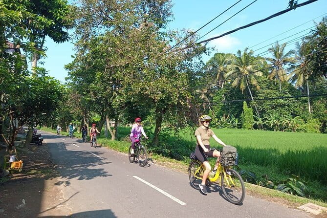 Ubud : Kintamani Downhill Cycling Tour with Lunch - What the Ride Feels Like: Scenic, Easy, and Photo-Friendly